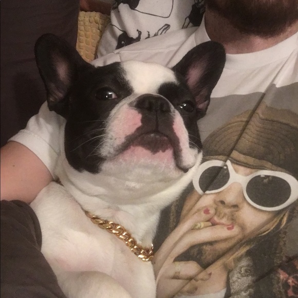 Meet your Posher, Chris - Picture 1 of 1